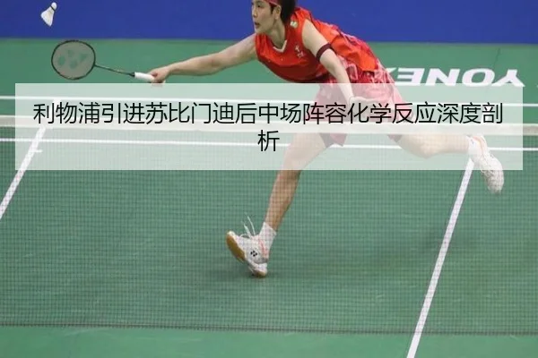 li-wu-pu-yin-jin-su-bi-men-di-hou-zhong-chang-zhen-rong-hua-xue-fan-ying-shen-du-pou-xi-2-941.jpg