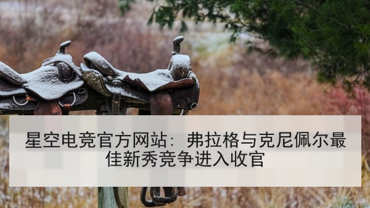 星空电竞官方网站: 弗拉格与克尼佩尔最佳新秀竞争进入收官